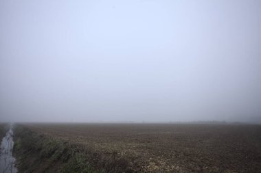 İtalya 'da sonbaharda sisli bir günde tarla arasında hendek kazmak