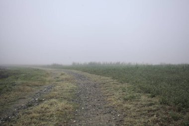 İtalya kırsalında sisli bir günde çayırın yanındaki hendekle çevrili bir patika.