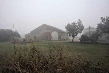 Malikane ve ahırı, sonbaharda İtalya 'nın kırsalında sisli bir günde ağaçlarla kaplı.