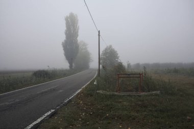 Sisli bir İtalyan kırsalında sisli bir günde birkaç ağaç ve siperle çevrili dar bir yol.
