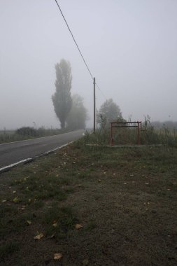 Sisli bir İtalyan kırsalında sisli bir günde birkaç ağaç ve siperle çevrili dar bir yol.