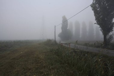 Sisli bir İtalyan kırsalında sisli bir günde birkaç ağaç ve siperle çevrili dar bir yol.