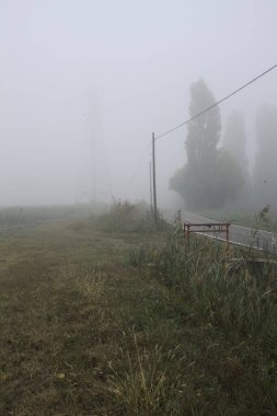 İtalya kırsalında sisli bir günde ağaçlarla kaplı tarlaların yanındaki yol.