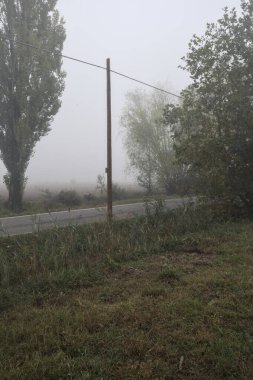 İtalya kırsalında sisli bir günde ağaçlarla kaplı tarlaların yanındaki yol.