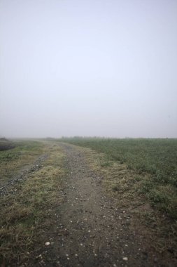 İtalya kırsalında sisli bir günde çayırın yanındaki hendekle çevrili bir patika.