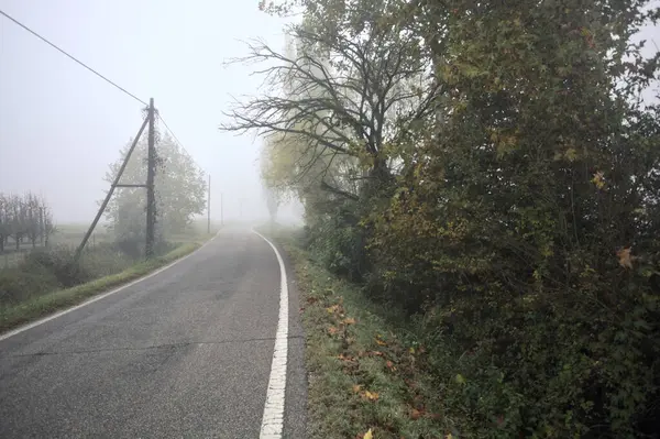 Sisli bir günde, bir ağaç tarafından çerçevelenmiş İtalya kırsalındaki bir arazinin yanındaki yol.