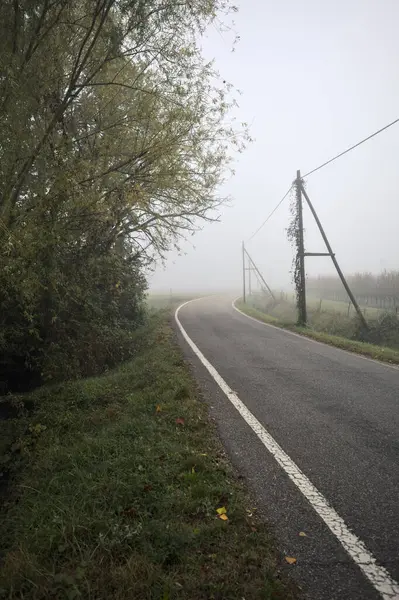 Sisli bir günde, bir ağaç tarafından çerçevelenmiş İtalya kırsalındaki bir arazinin yanındaki yol.