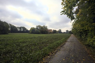 İtalya kırsalında bulutlu bir günde, bir tarlanın yanında çamurlu su birikintileri ve ağaçlarla çevrili bir yol.