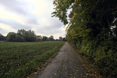 İtalya kırsalında bulutlu bir günde, bir tarlanın yanında çamurlu su birikintileri ve ağaçlarla çevrili bir yol.