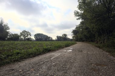 İtalya kırsalında bulutlu bir günde, bir tarlanın yanında çamurlu su birikintileri ve ağaçlarla çevrili bir yol.