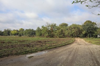 İtalya 'nın kırsal kesimlerinde bulutlu bir günde bir tarlanın yanındaki su birikintilerinin olduğu kirli bir patika.