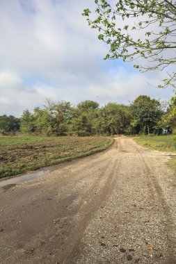 İtalya 'nın kırsal kesimlerinde bulutlu bir günde bir tarlanın yanındaki su birikintilerinin olduğu kirli bir patika.