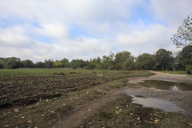 İtalya 'nın kırsal kesimlerinde bulutlu bir günde bir tarlanın yanındaki su birikintilerinin olduğu kirli bir patika.
