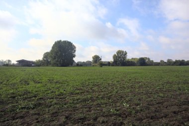 İtalyan kırsalında sağanak yağmurdan sonra ağaçlarla kaplı ekili bir arazi.