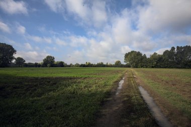 İtalya 'nın kırsal kesimlerinde bulutlu bir günde bir koruluğun yanından geçen tarlalarla çevrili su birikintileriyle dolu bir yol.