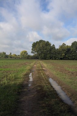 İtalya 'nın kırsal kesimlerinde bulutlu bir günde bir koruluğun yanından geçen tarlalarla çevrili su birikintileriyle dolu bir yol.
