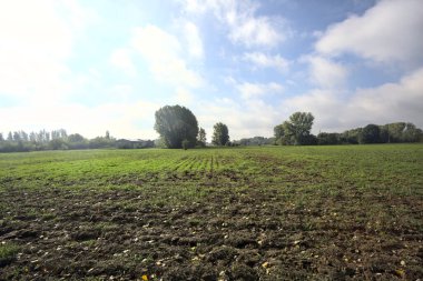 İtalyan kırsalında sağanak yağmurdan sonra ağaçlarla kaplı ekili bir arazi.