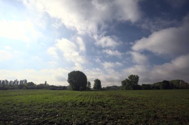 İtalyan kırsalında sağanak yağmurdan sonra ağaçlarla kaplı ekili bir arazi.