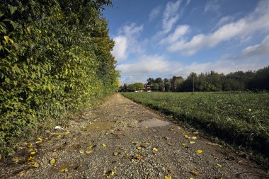 İtalya 'nın kırsal kesimlerinde bulutlu bir günde bir grup binaya giden yolu olan ağaçlarla çevrili bir arazi.