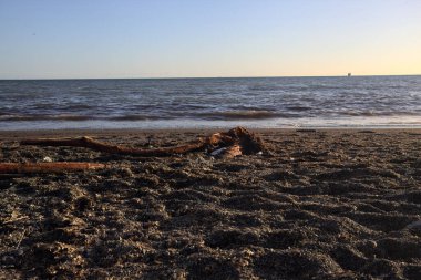 Gün batımında üzerinde ağaç dalları olan boş bir sahil.