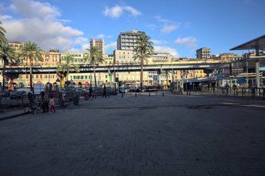 Limanda palmiyeler ve güneşli bir günde banklarda oturan insanlar.