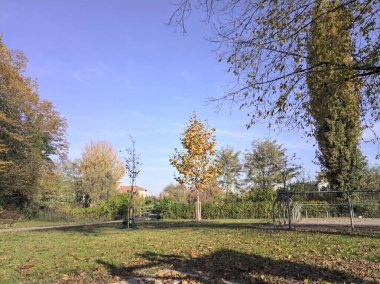 Parkta sokak lambası olan bir yol.