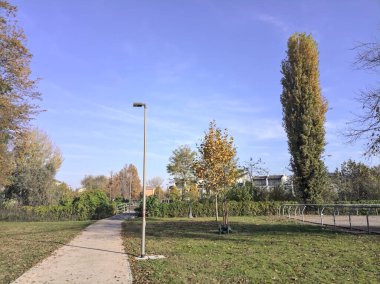 Parkta sokak lambası olan bir yol.