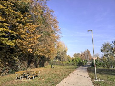 Parkta sokak lambası olan bir yol.