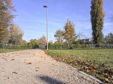 Parkta sokak lambası olan bir yol.