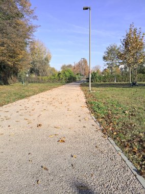 Parkta sokak lambası olan bir yol.