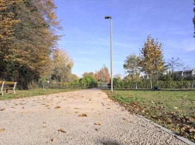 Parkta sokak lambası olan bir yol.