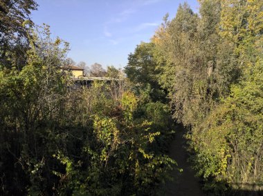 Parktaki ağaçlar ve bitkilerle çevrili su akıntısı