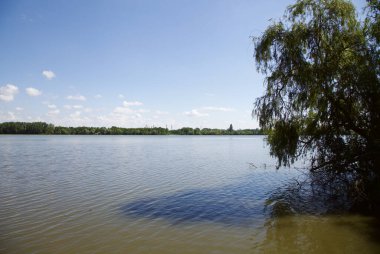 Nehir ve gökyüzünün su üzerindeki yansıması çerçevede kıyıdan bir parça