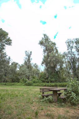 Park açıklığında bir bankta.