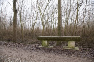 Park açıklığında bir bankta.