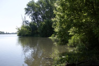 Nehir ve gökyüzünün su üzerindeki yansıması çerçevede kıyıdan bir parça