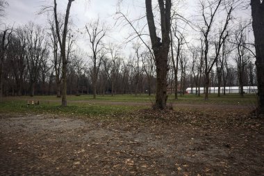 Sonbaharda bulutlu bir günde parkta park yeri