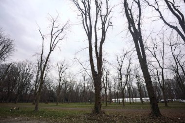Sonbaharda bulutlu bir günde parkta park yeri