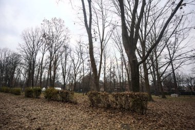 Sonbaharda parkın otoparkında.
