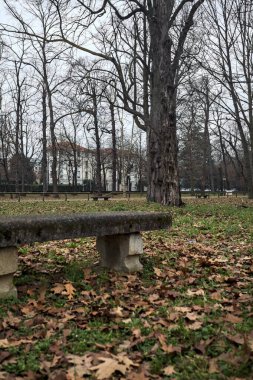 Sonbaharda bulutlu bir günde, parkın çimlerinde taş bir bank.