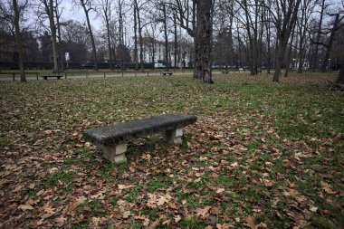 Sonbaharda bulutlu bir günde, parkın çimlerinde taş bir bank.
