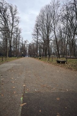 Sonbaharda parkın otoparkında.