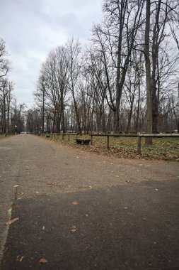 Sonbaharda parkın otoparkında.