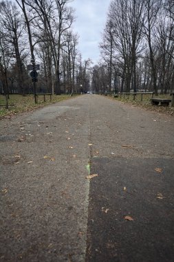 Sonbaharda parkın otoparkında.