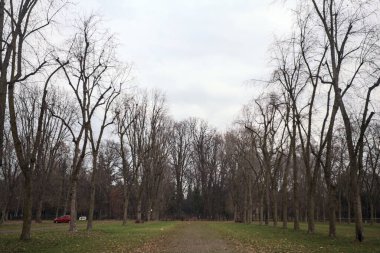 Sonbaharda bulutlu bir günde parkta park yeri