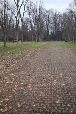 Sonbaharda bulutlu bir günde parkta park yeri