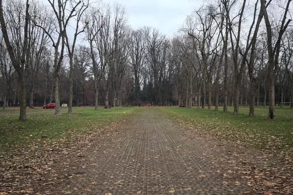 Sonbaharda bulutlu bir günde parkta park yeri