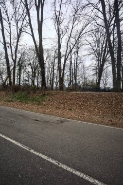 Sonbaharda bir parkta çıplak ağaçlarla çevrili bir yolun kenarında.