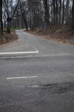 Sonbaharda bulutlu bir günde parkta yol ayrımı