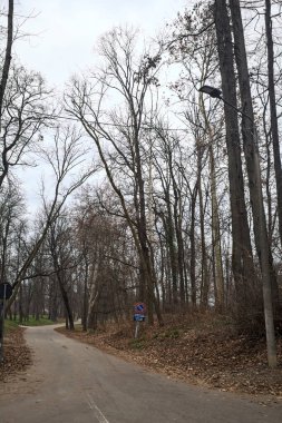 Sonbaharda bulutlu bir günde parkta yol ayrımı